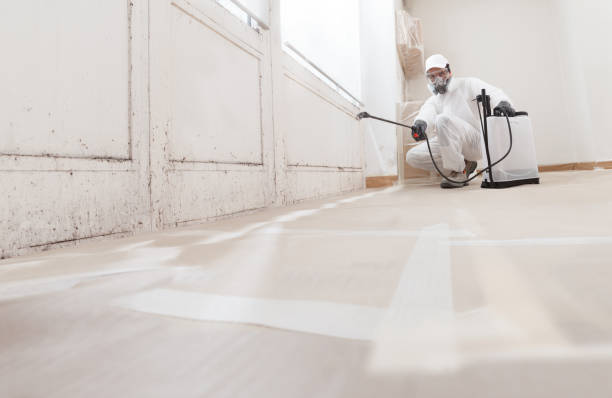 24/7 Emergency Attic Mold Remediation experts in Needham, MA